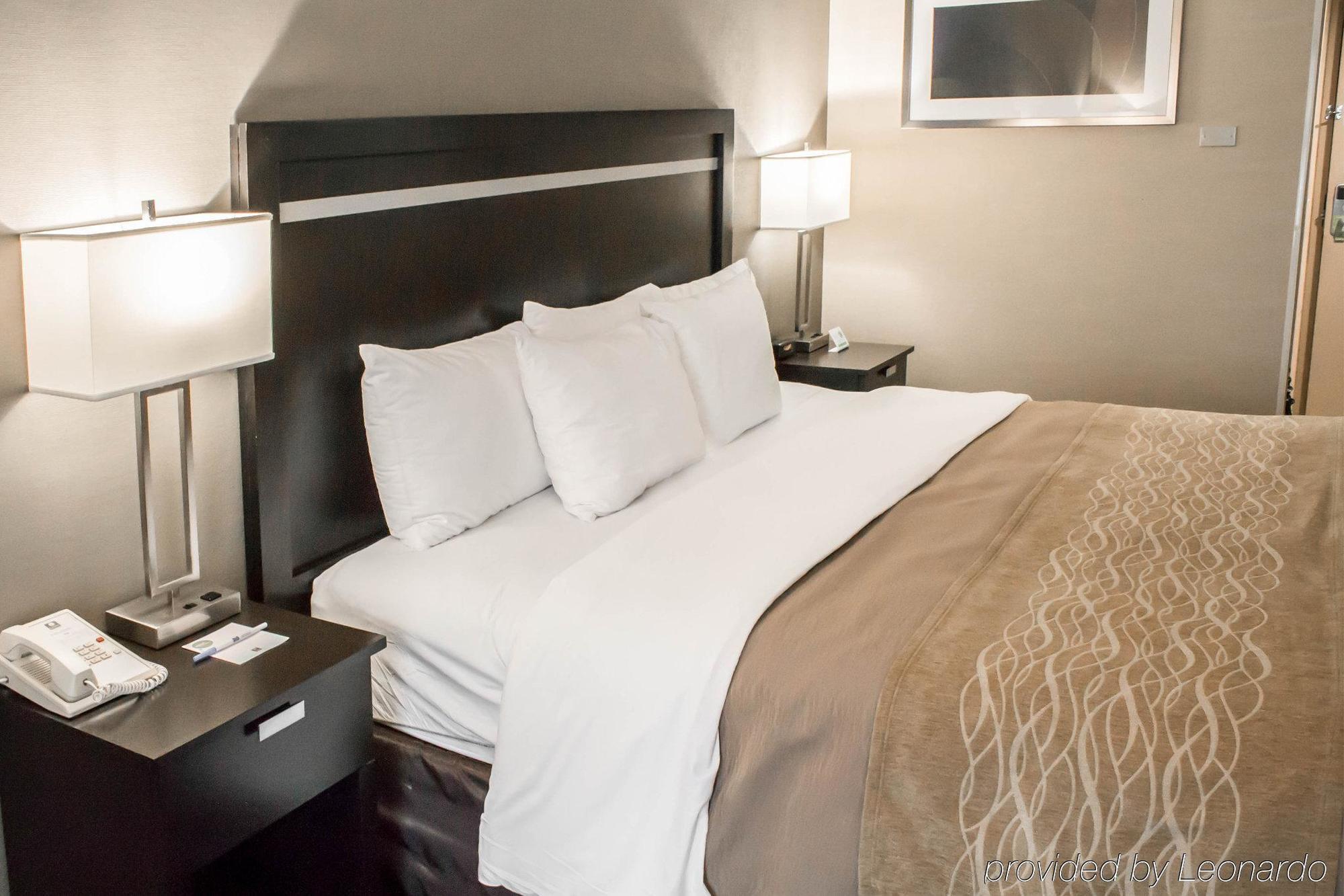 Holiday Inn Express & Suites - Albany Airport - Wolf Road By Ihg Eksteriør bilde